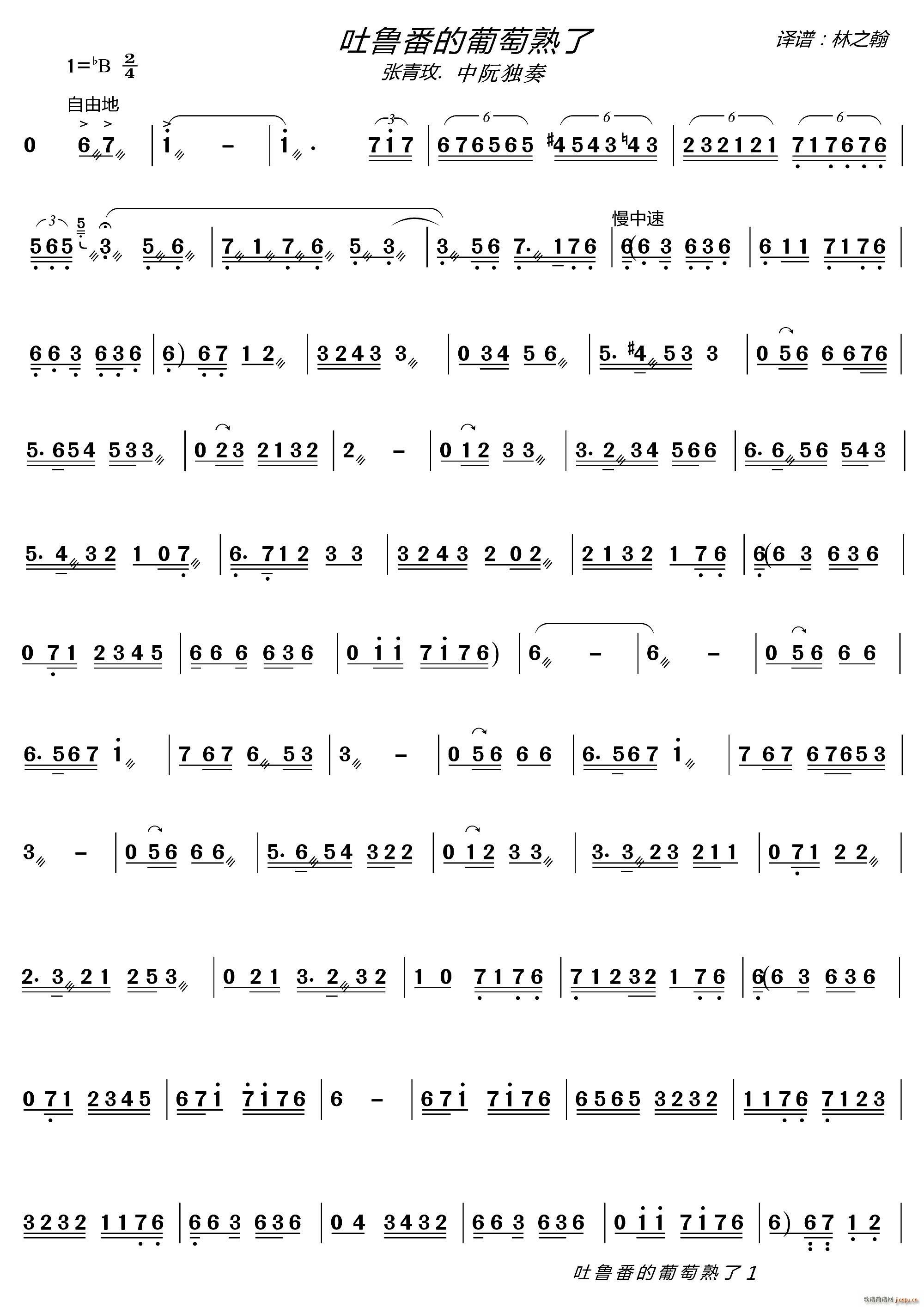 吐鲁番的葡萄熟了 中阮独奏(十字及以上)1