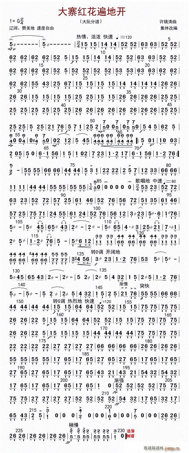 大寨红花遍地开 大阮(十字及以上)1