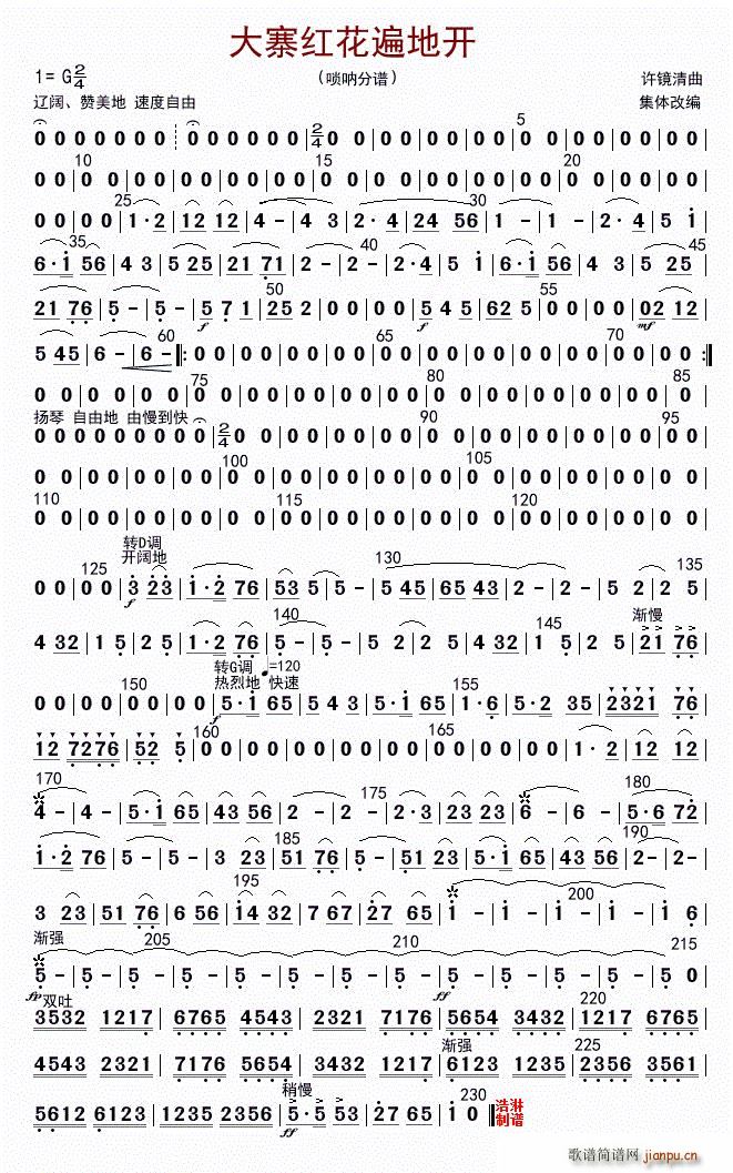 大寨红花遍地开 唢吶(十字及以上)1