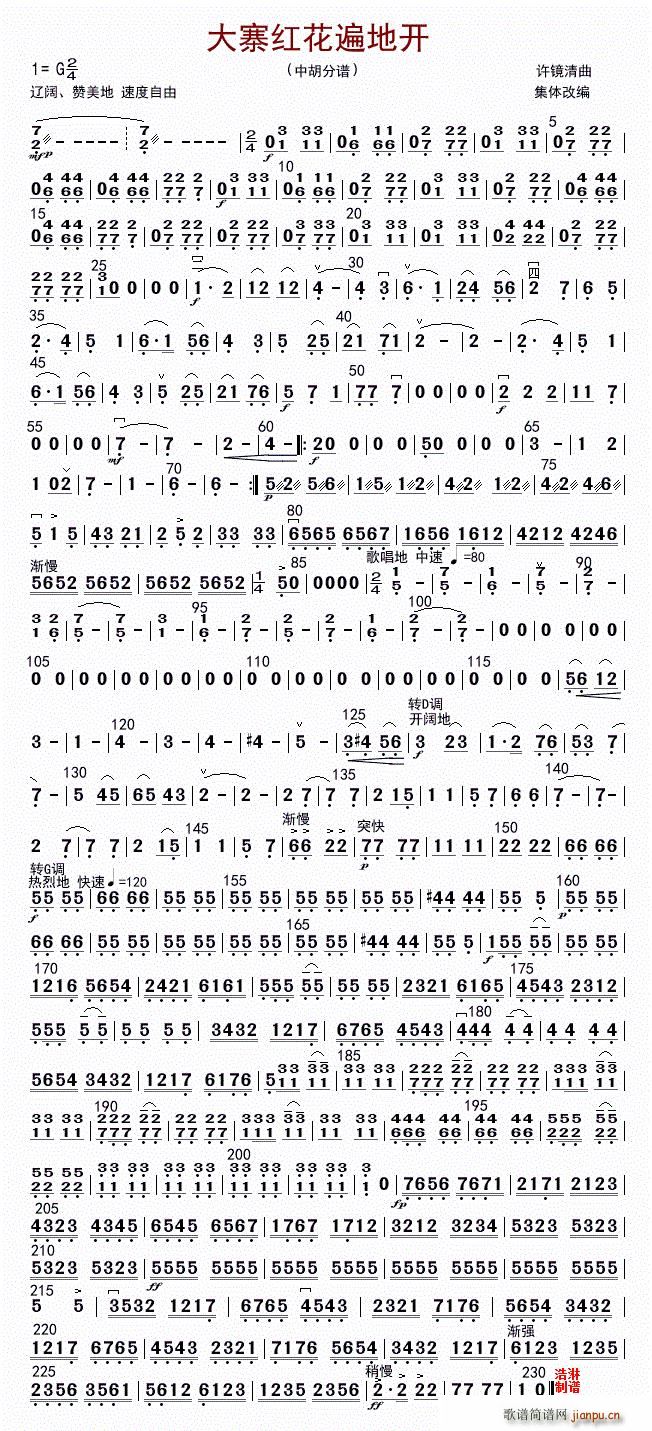 大寨红花遍地开 中胡(十字及以上)1