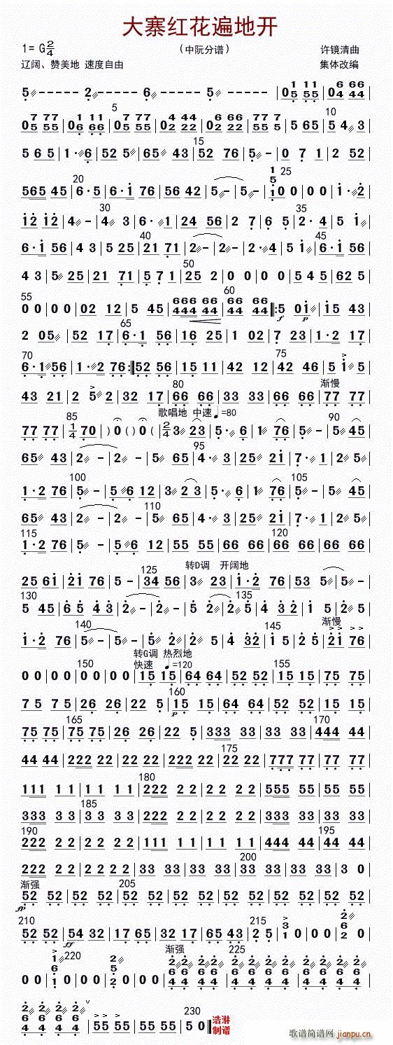 大寨红花遍地开 中阮(十字及以上)1