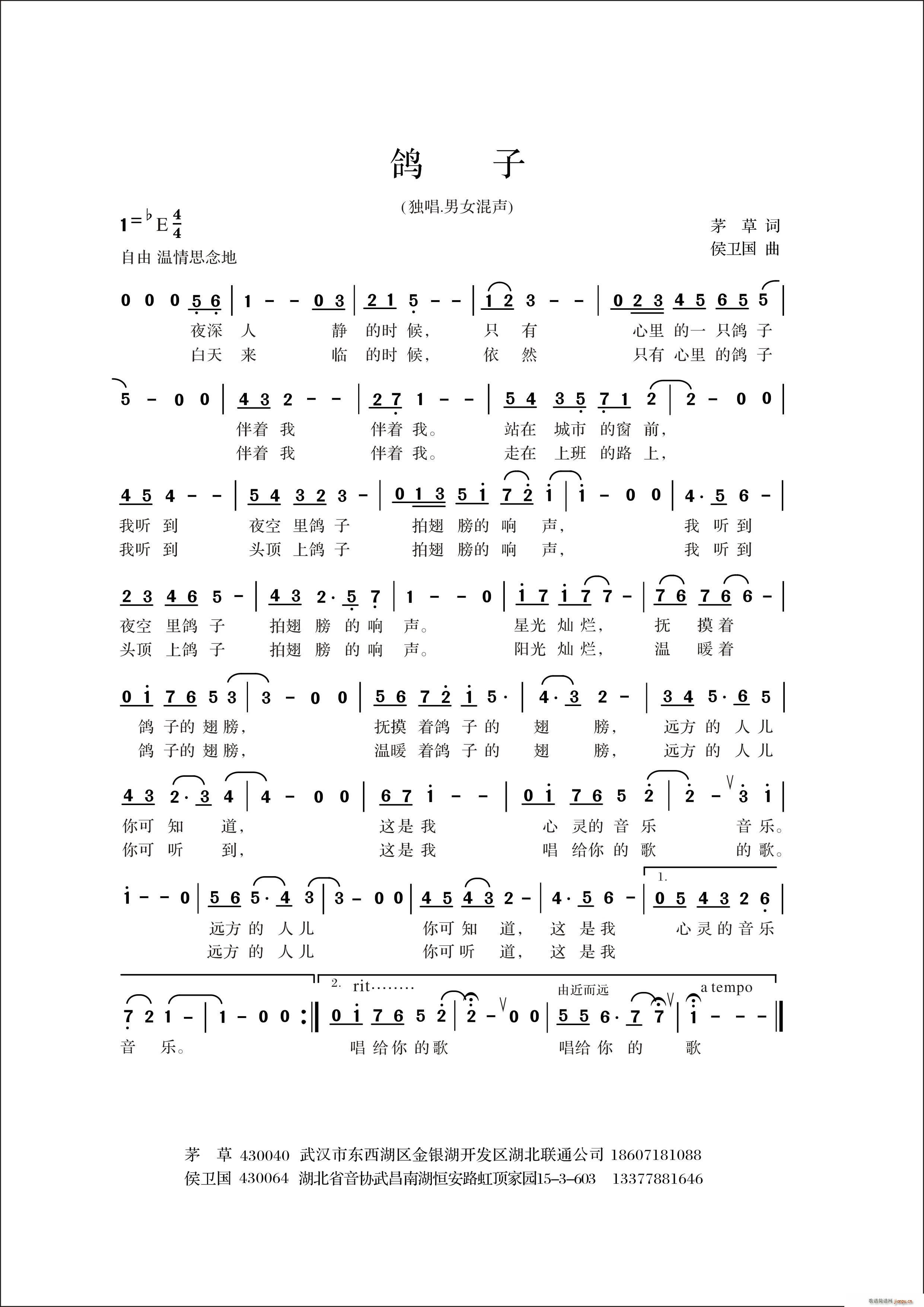 鸽 子 现代爱情通俗歌曲(十字及以上)1