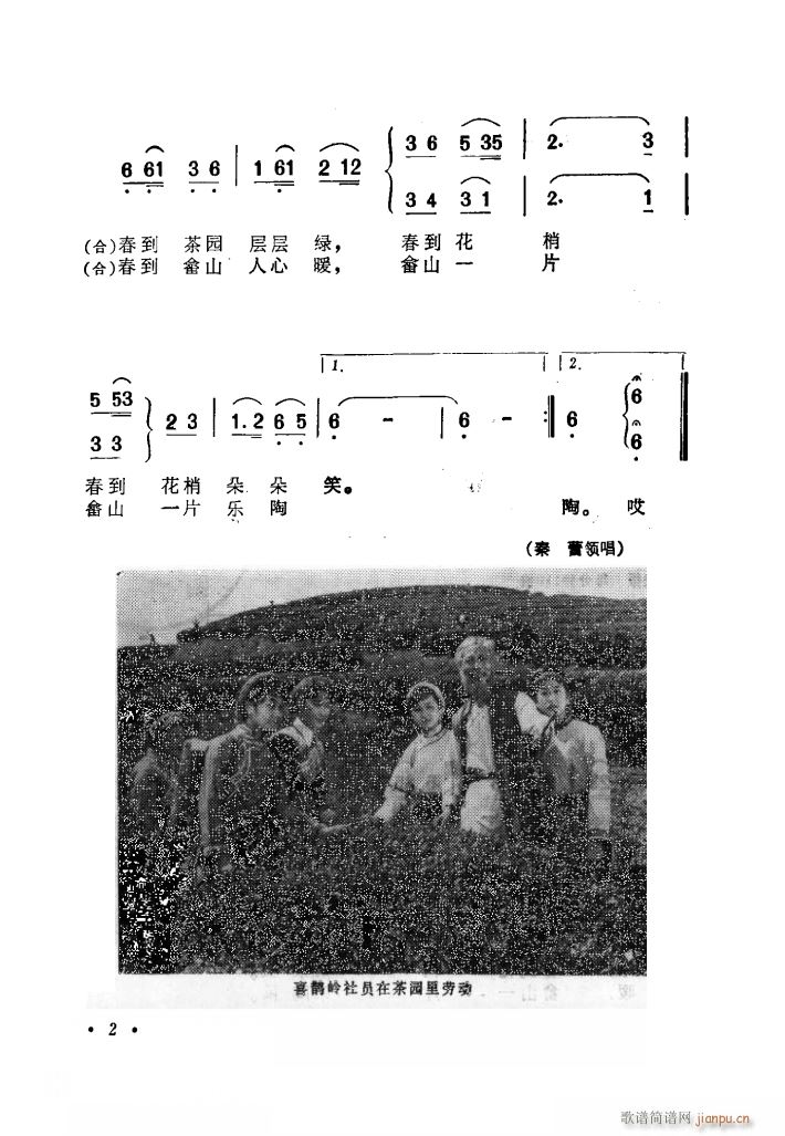 电影喜鹊岭茶歌歌曲集(十字及以上)5