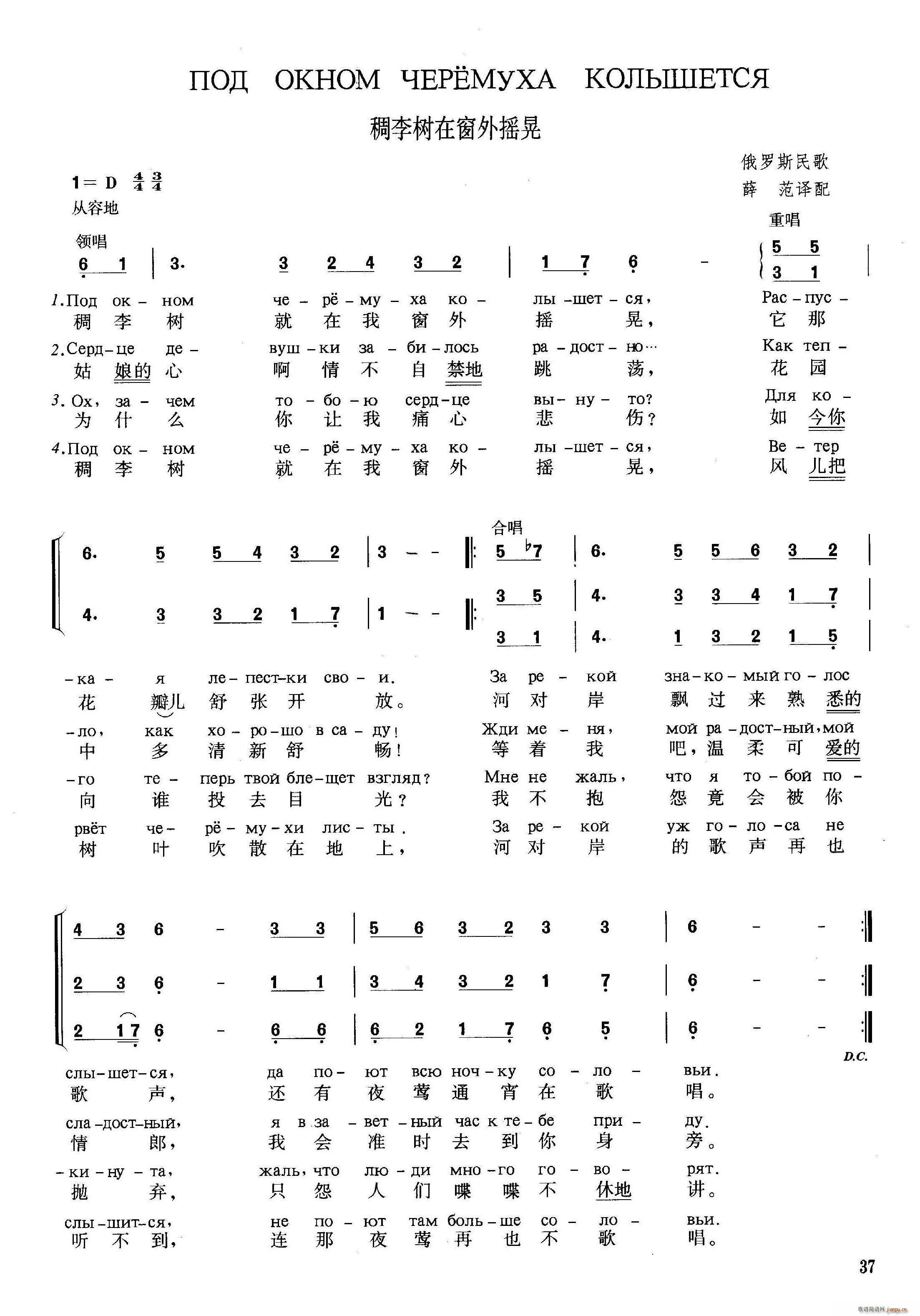 俄 稠李树在窗外摇晃(十字及以上)1