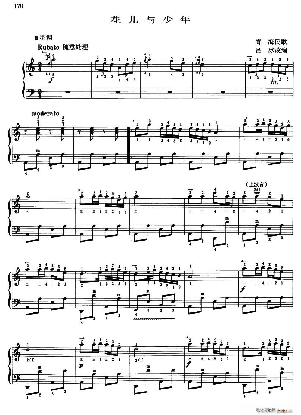 花儿与少年 吕冰改编改编版 带指法(十字及以上)1