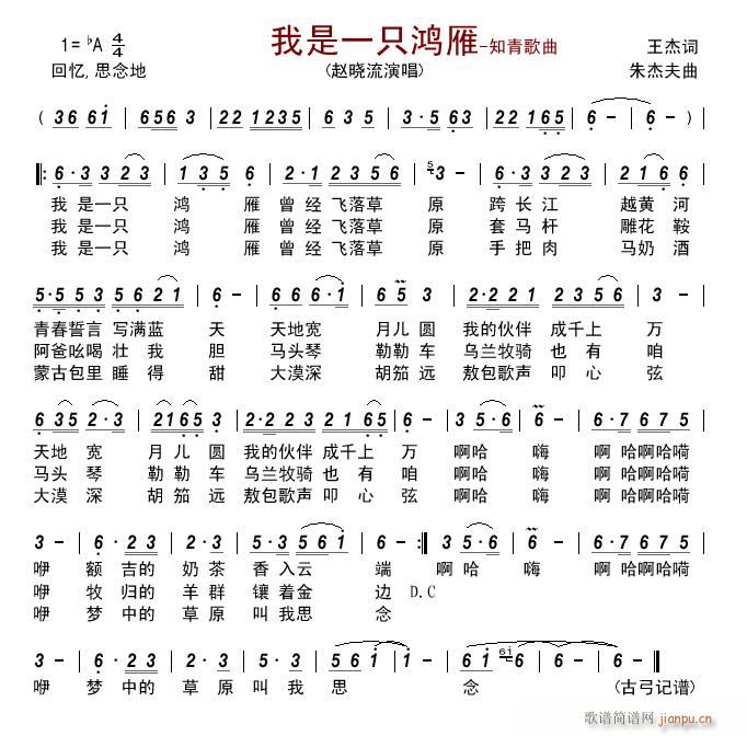 我是一只鸿雁 知青歌曲(十字及以上)1