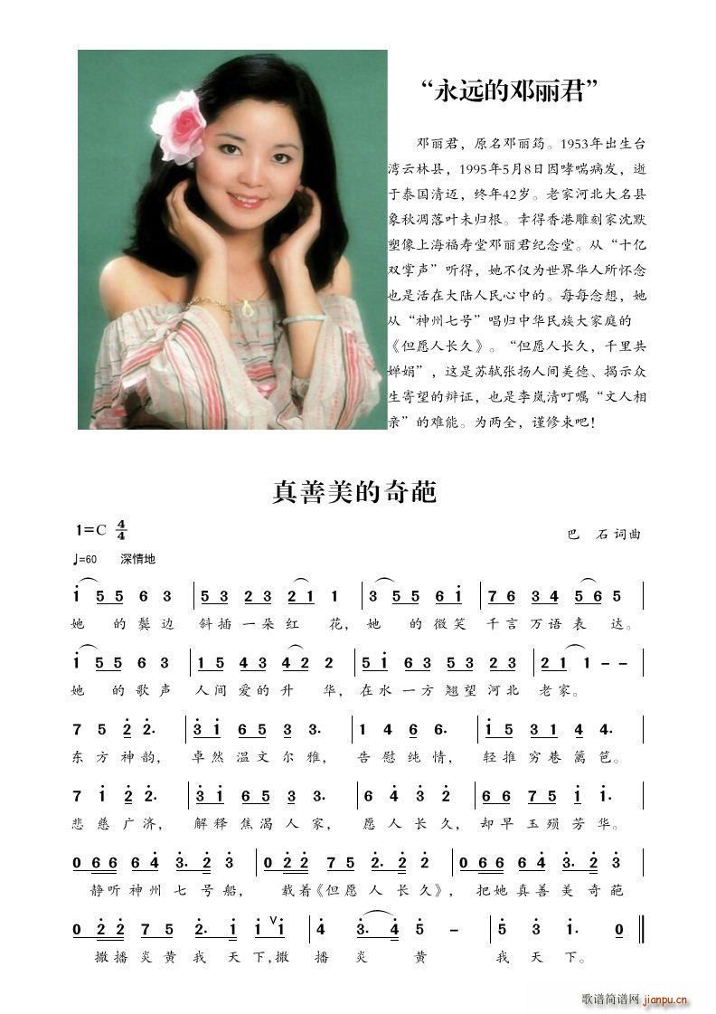 真善美的奇葩 纪念邓丽君(十字及以上)1