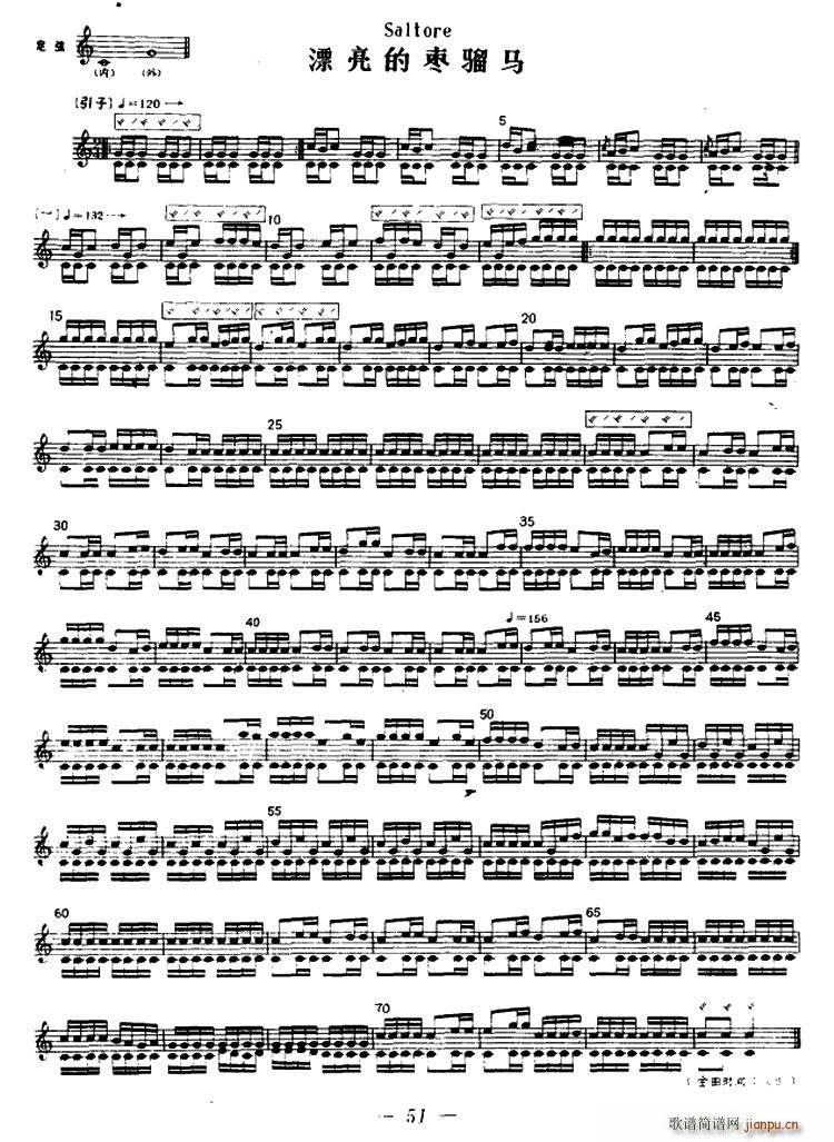 漂亮的枣骝马 冬不拉(十字及以上)1