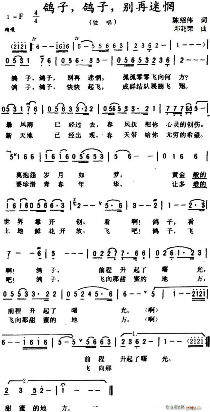 鸽子 鸽子 别再迷惘(十字及以上)1