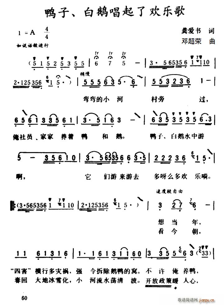 鸭子 白鹅唱起了欢乐歌(十字及以上)1