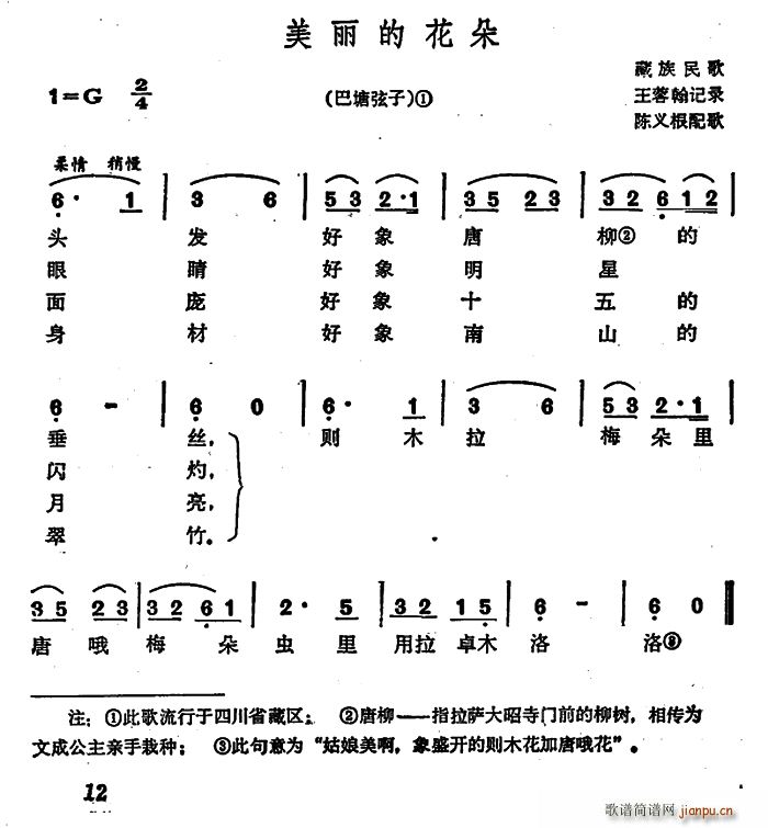 美丽的花朵 巴塘弦子(十字及以上)1