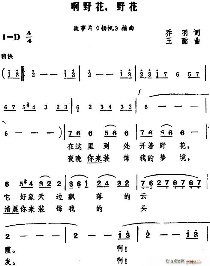 啊野花 野花 电影 扬帆 插曲(十字及以上)1