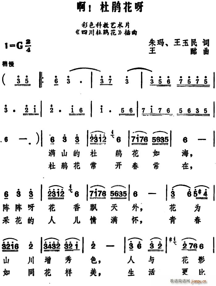 啊 杜鹃花呀 科教片 四川杜鹃花 插曲(十字及以上)1