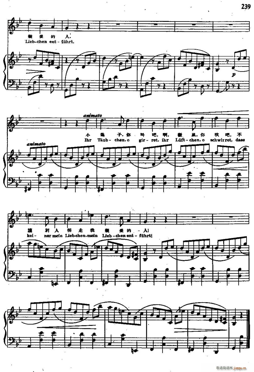 去看望爱人的路上 波西米亚民歌 中外文对照(十字及以上)7