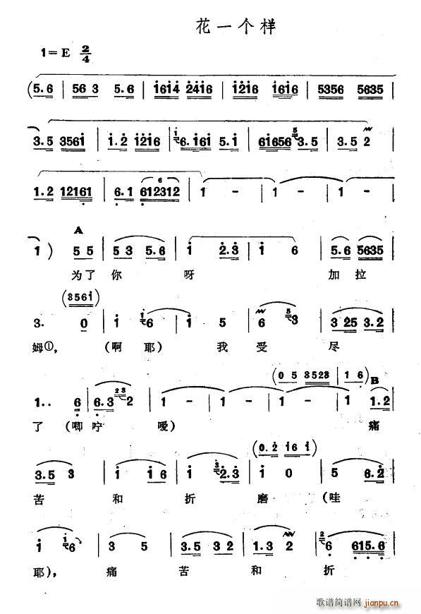 菊花一个样 新疆伊犁 维吾尔民歌 第一套 修渠歌(十字及以上)1
