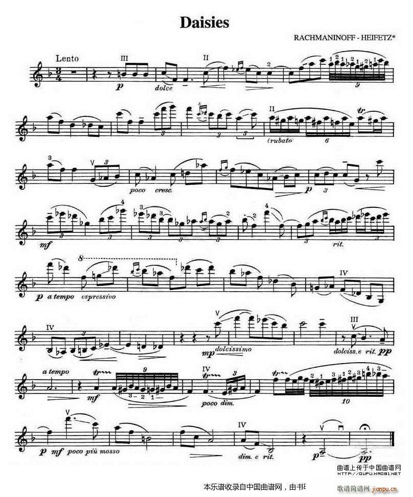 Daisies 雏菊(十字及以上)1