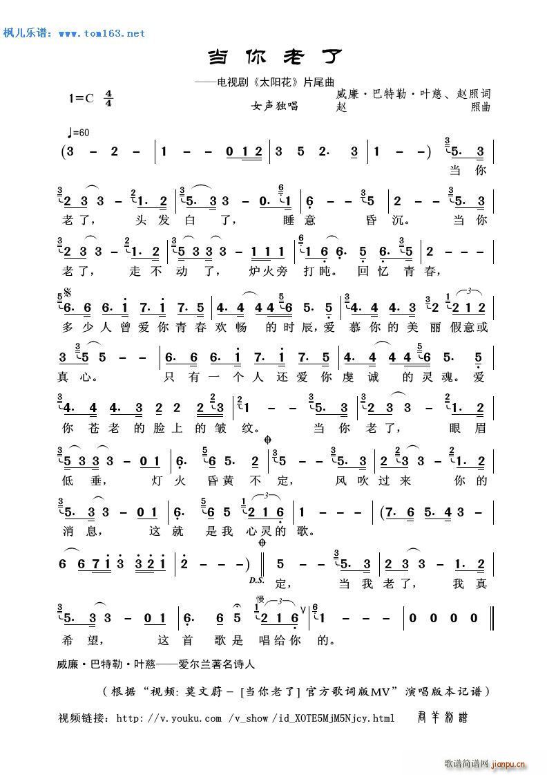 当你老了 电视剧 太阳花 片尾曲(十字及以上)1