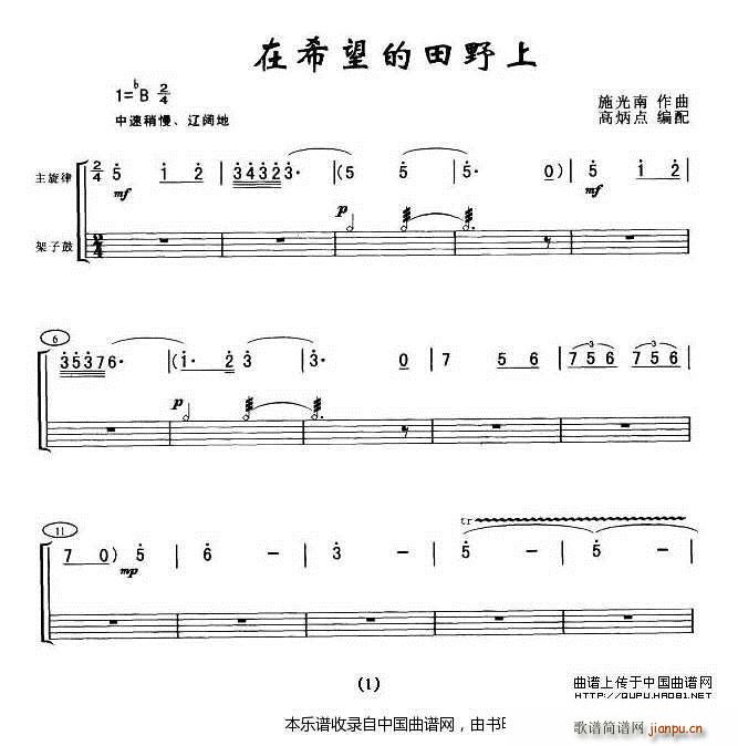 在希望的田野上 架子 乐器谱(十字及以上)1