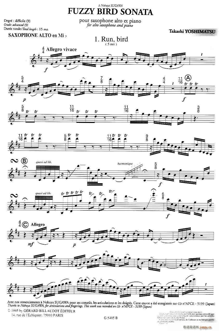 Fuzzy Bird Sonata 绒毛鸟奏鸣曲 1 Run Bird(十字及以上)1