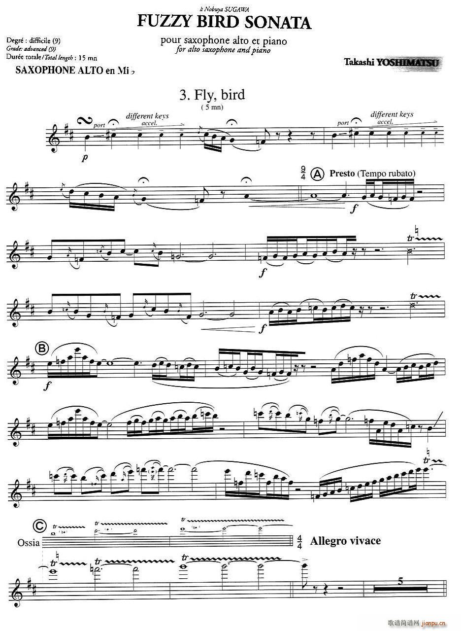 Fuzzy Bird Sonata 绒毛鸟奏鸣曲 3 Fly Bird(十字及以上)1