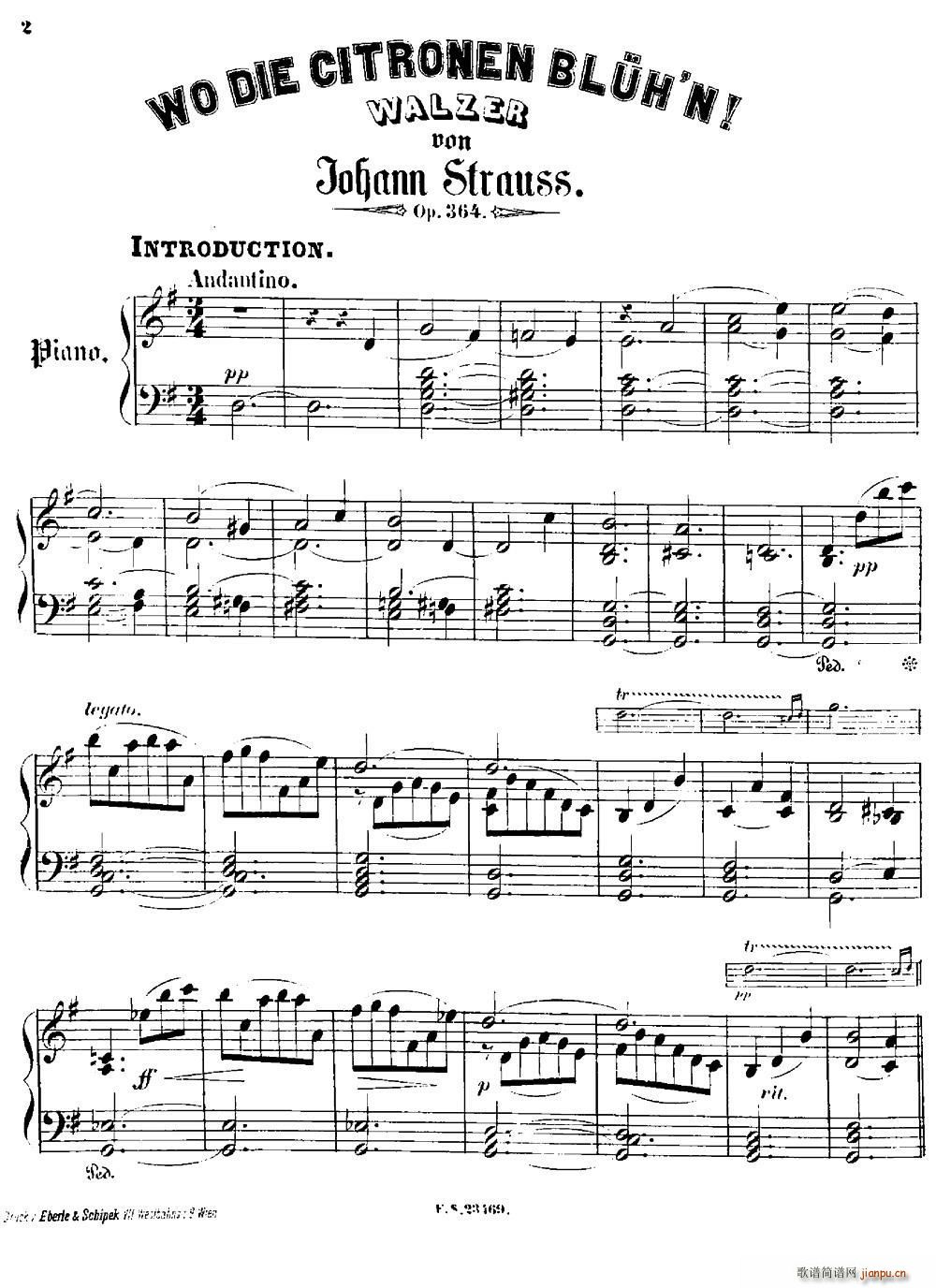 柠檬树花开的地方圆舞曲(十字及以上)1