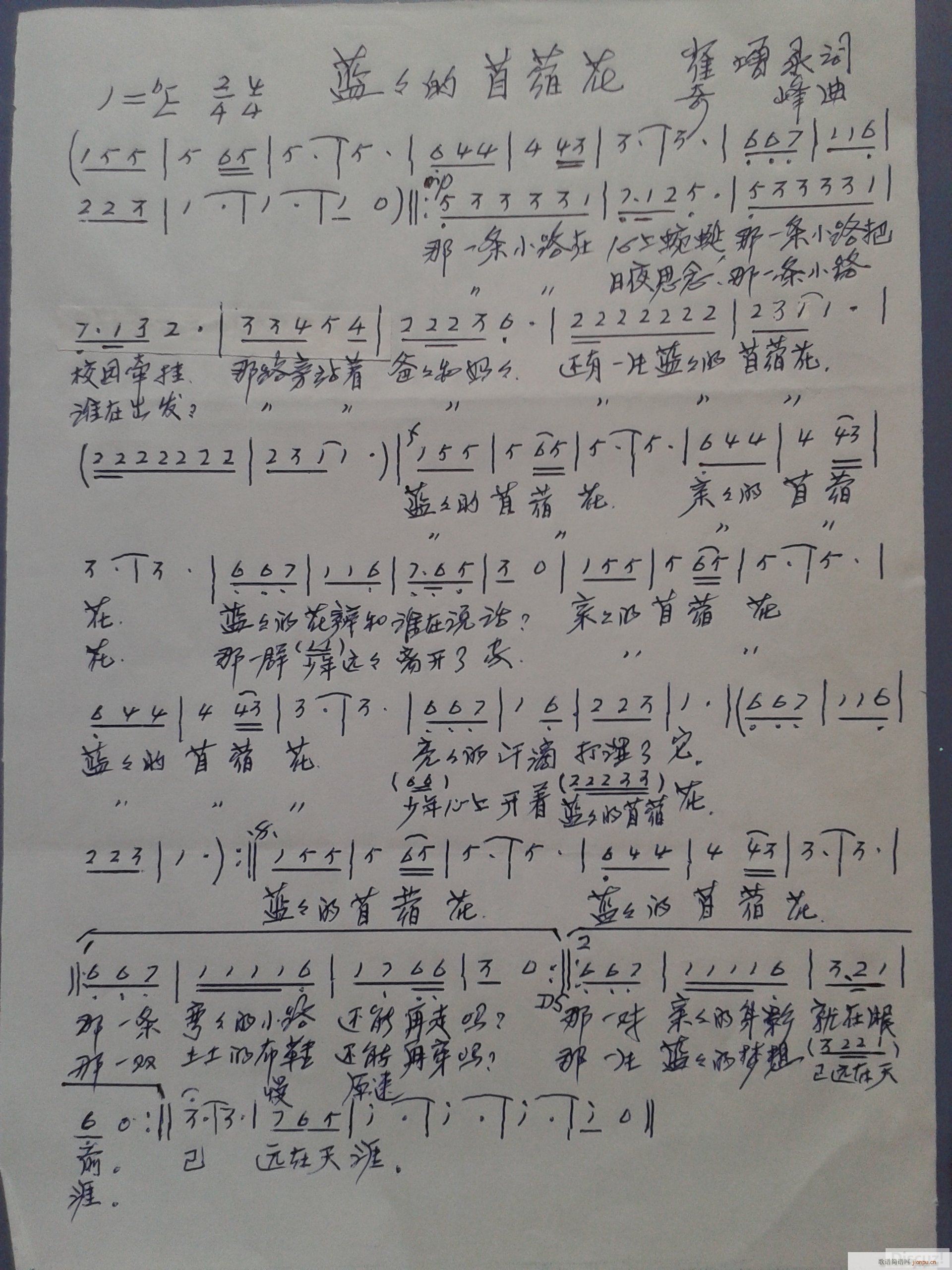 蓝蓝的苜蓿花 这是一首儿童歌曲 亲切地表现出美丽的校园让她们深深地怀(十字及以上)1
