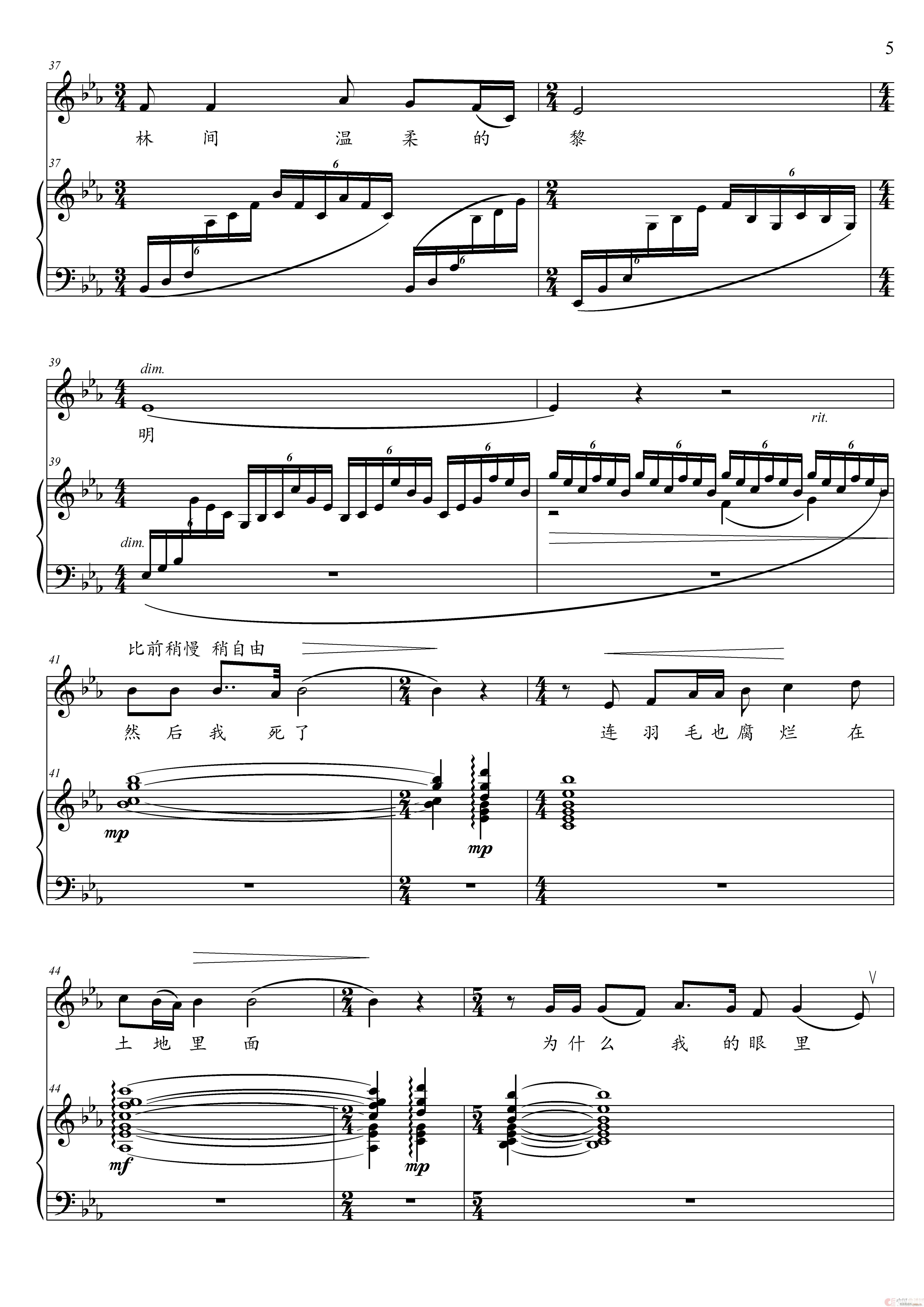 我爱这土地 降E调(九字歌谱)3