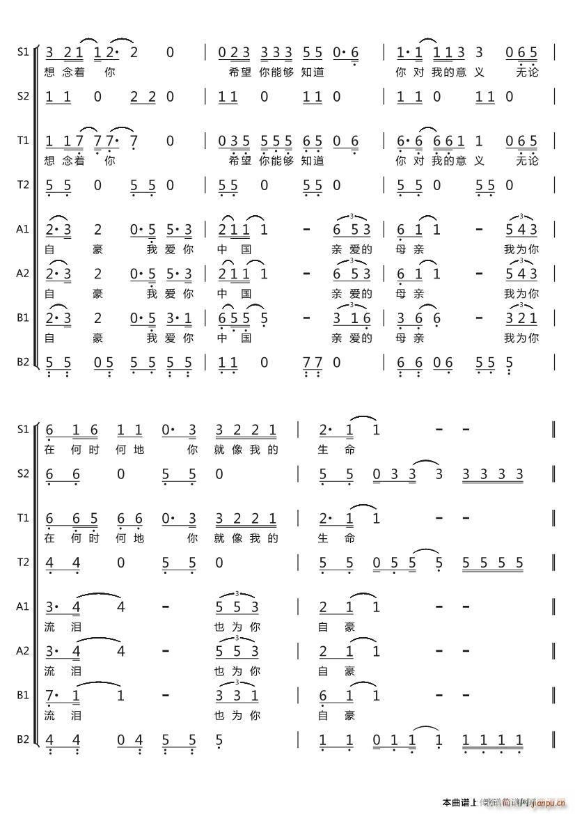 我爱你中国 八声部(九字歌谱)13