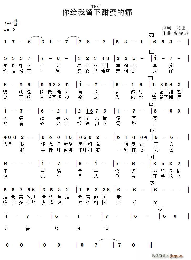 你给我留下甜蜜的痛(九字歌谱)1