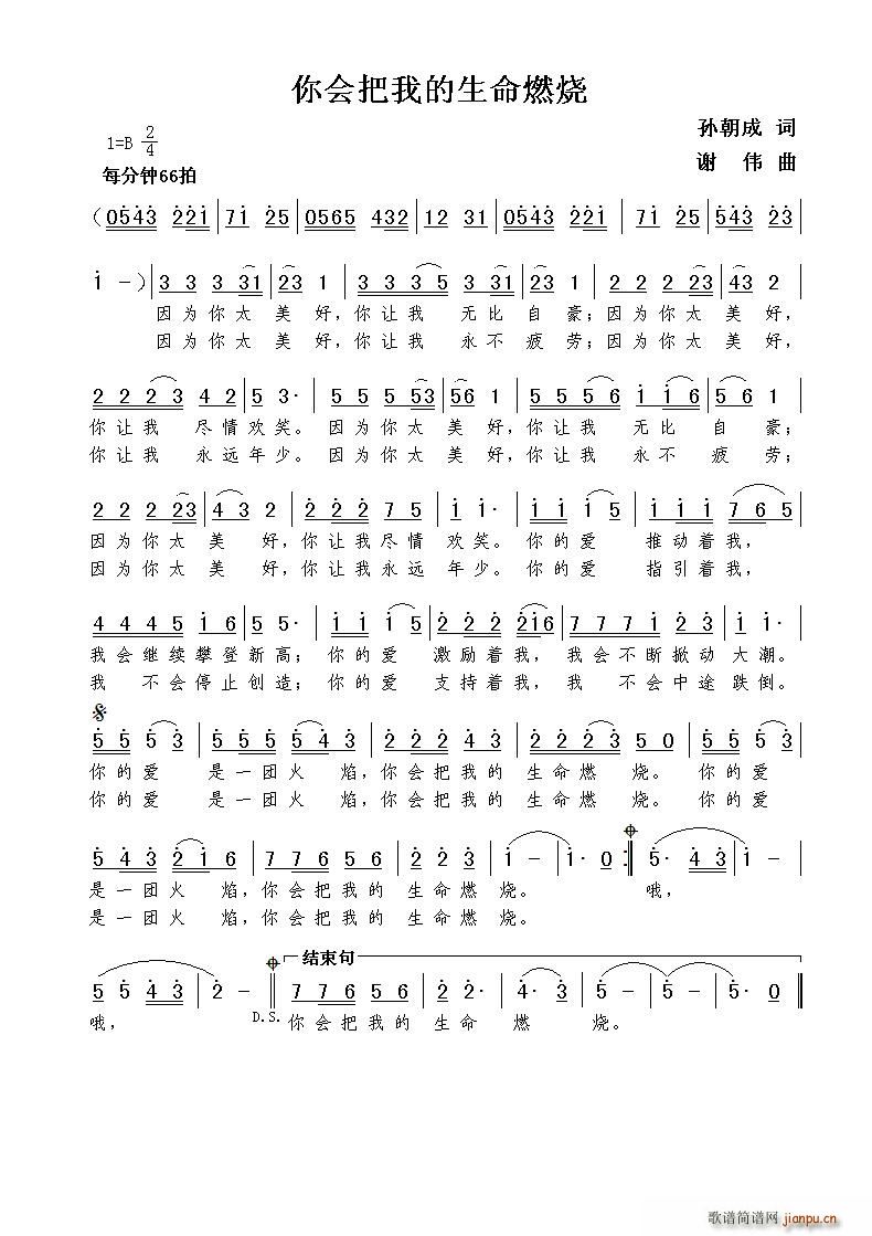 你会把我的生命燃烧(九字歌谱)1