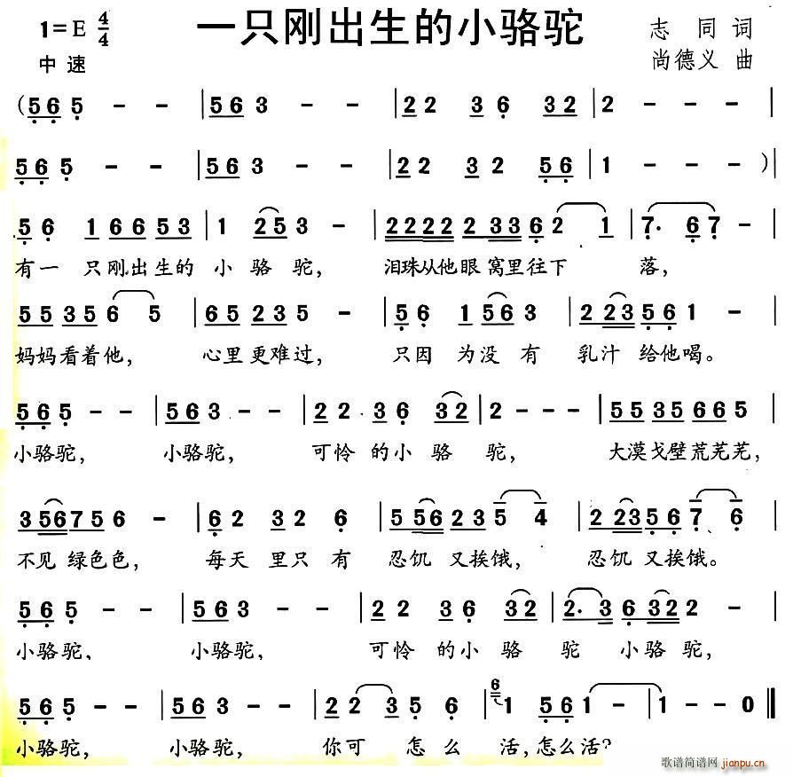 一只刚出生的小骆驼(九字歌谱)1