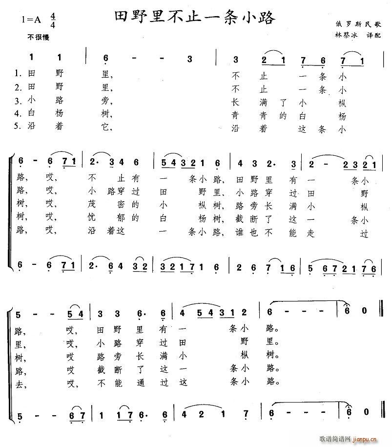 田野里不止一条小路(九字歌谱)1