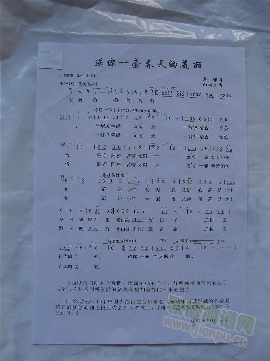 送你一壶春天的美丽(九字歌谱)1