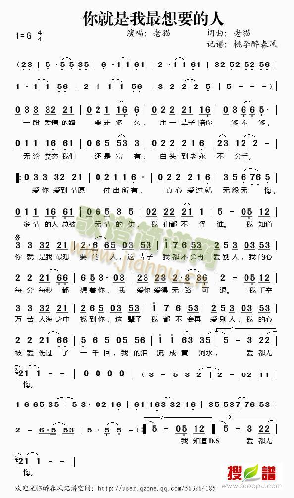 你就是我最想要的人(九字歌谱)1