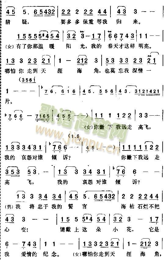 哪怕你走到天涯海角(九字歌谱)3