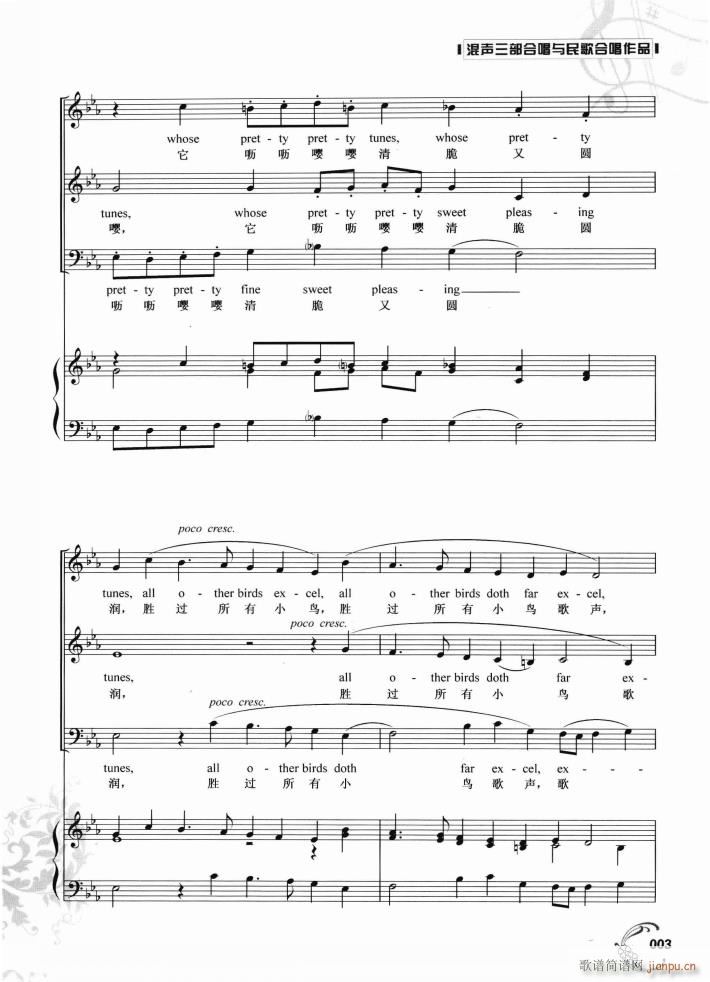 所有的鸟我都听过(八字歌谱)3