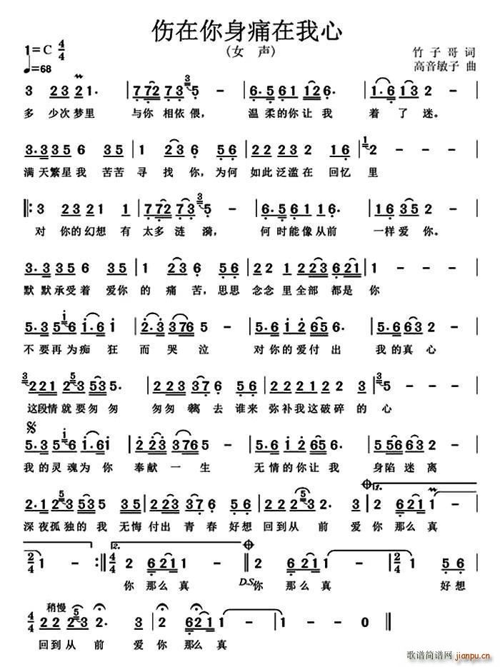 伤在你身痛在我心(八字歌谱)1