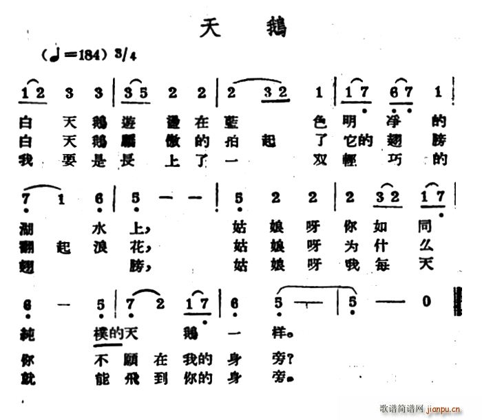 天鹅 哈萨克民歌(八字歌谱)1