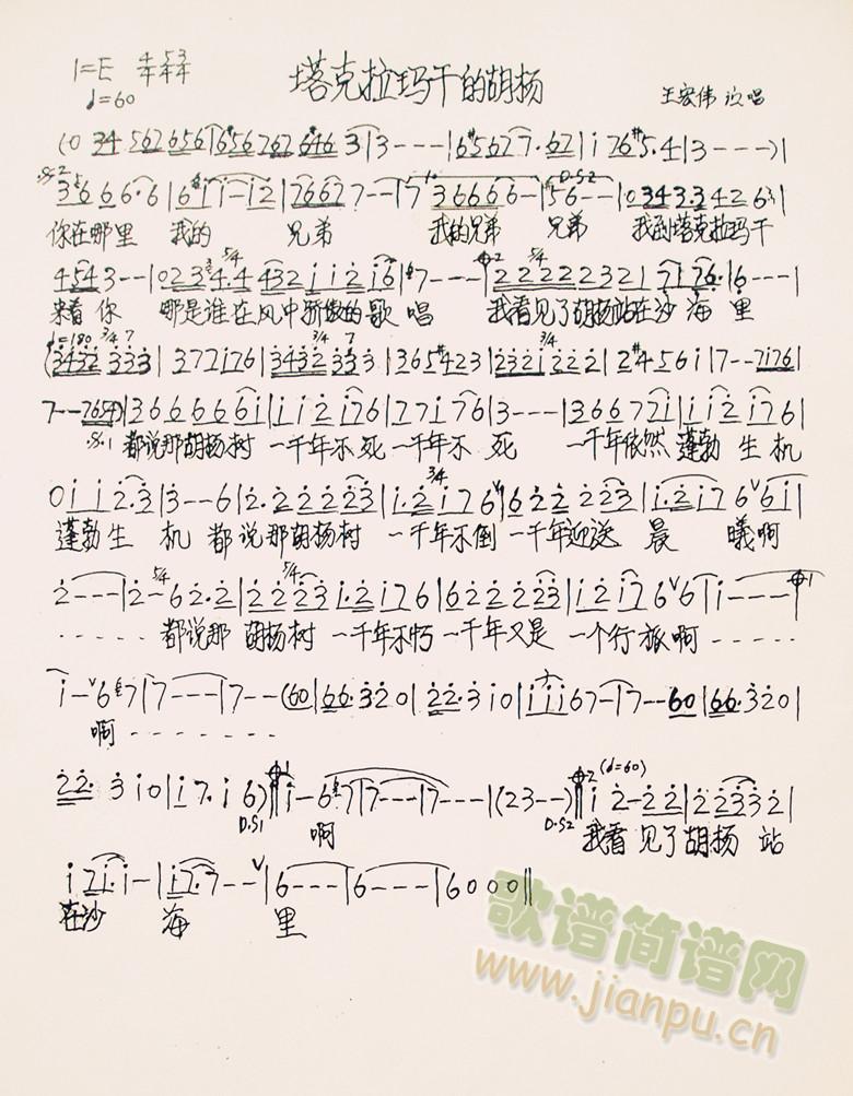 塔克拉玛干的胡扬(八字歌谱)1