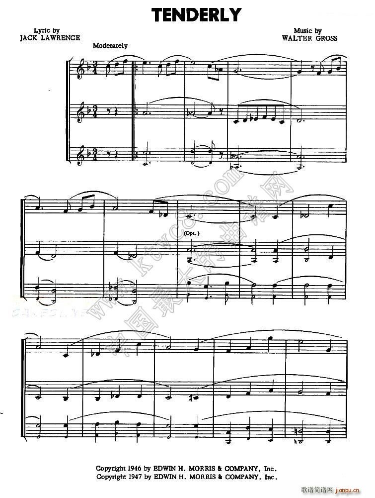 TENDERLY(八字歌谱)1