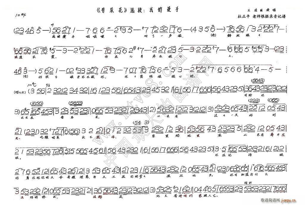 我的曼子 苦菜花(八字歌谱)1