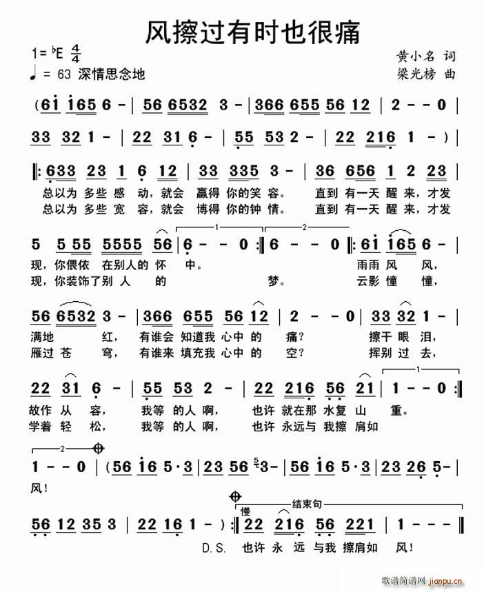 风擦过有时也很痛(八字歌谱)1