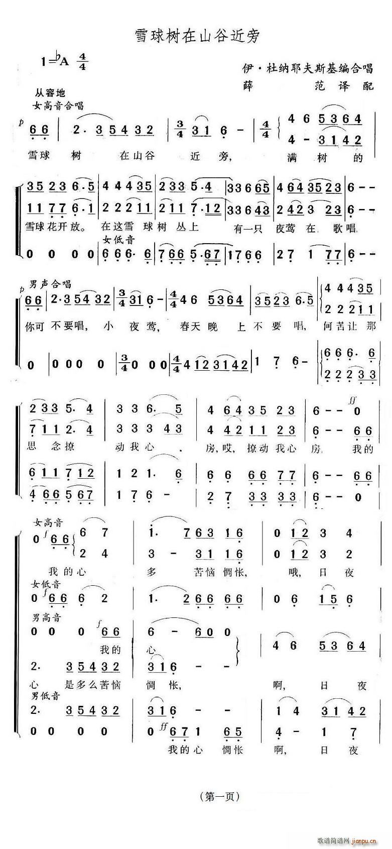 雪球树在山谷近旁(八字歌谱)1