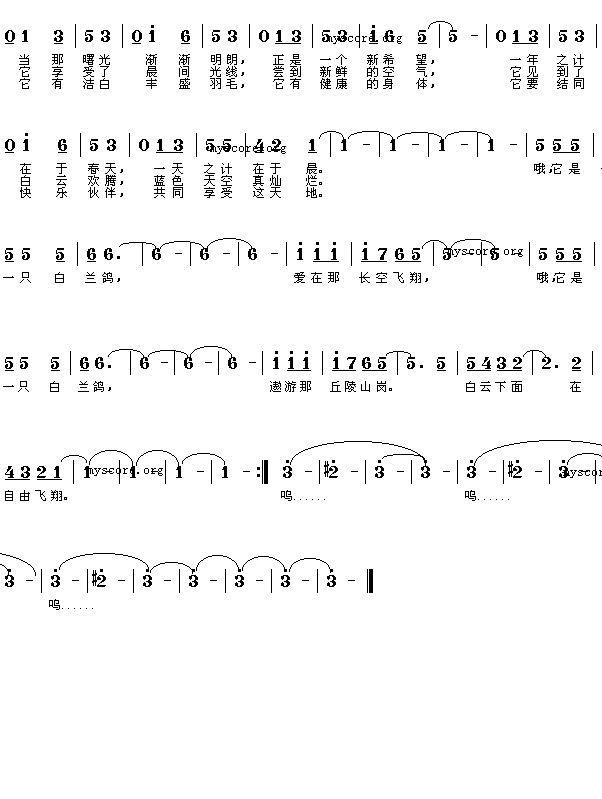 （美）白兰鸽（）(八字歌谱)1