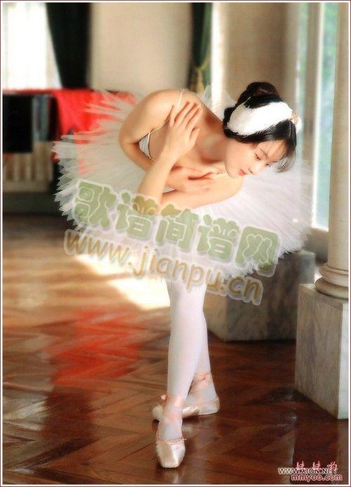 你可不可以爱爱我(八字歌谱)1