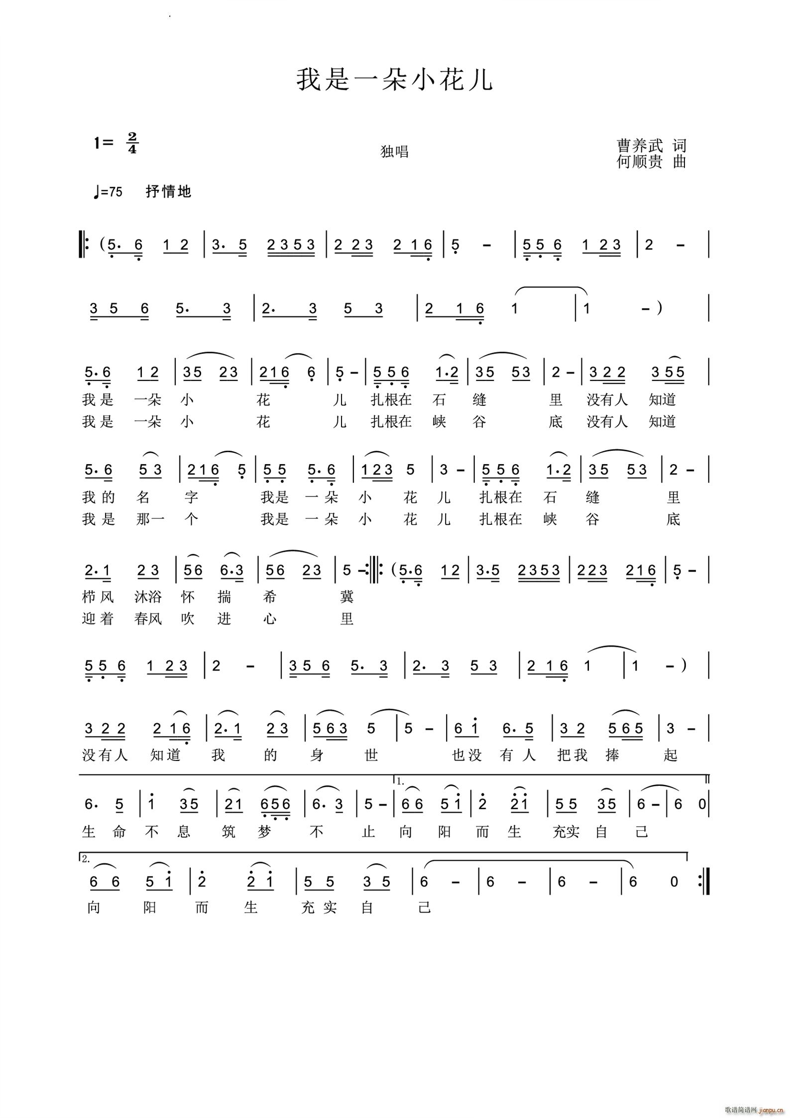 我是一朵小花儿(七字歌谱)1