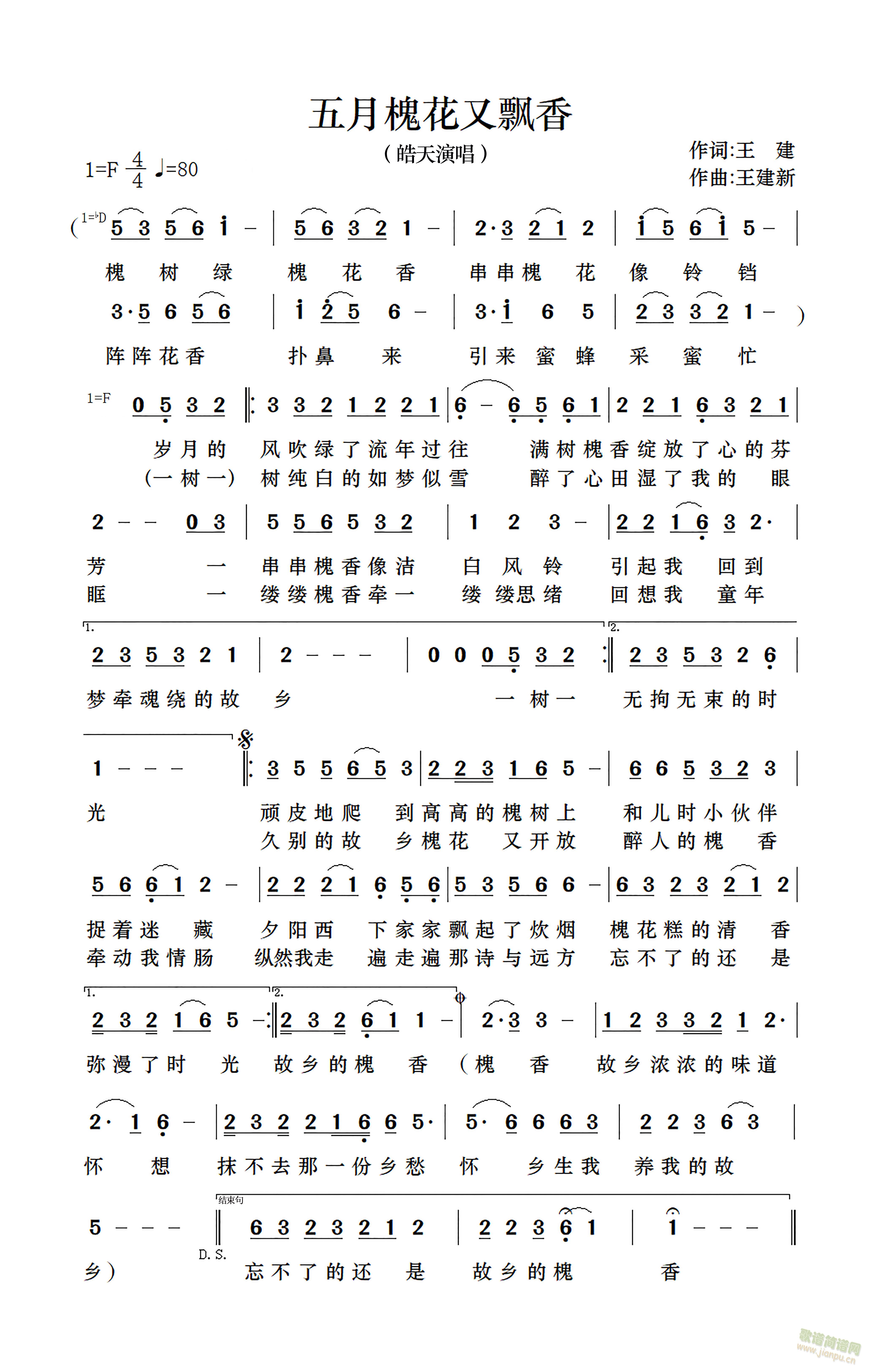 五月槐花又飘香(七字歌谱)1