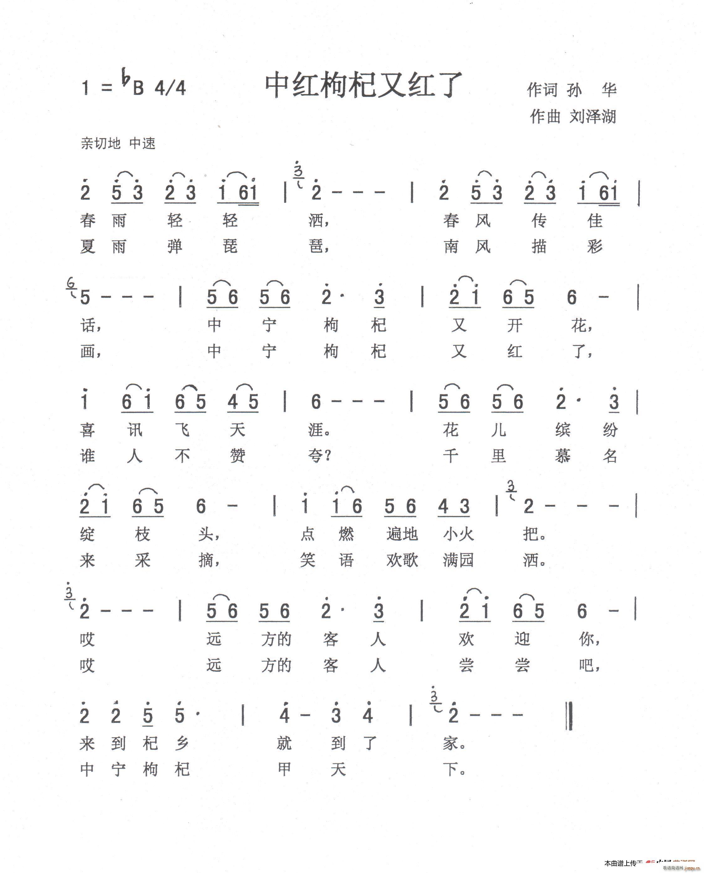 中红枸杞又红了(七字歌谱)1