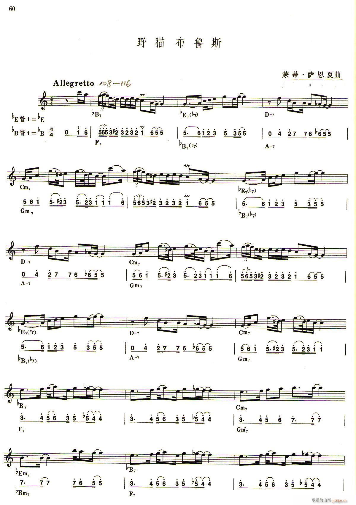 野猫布鲁斯 线(七字歌谱)1