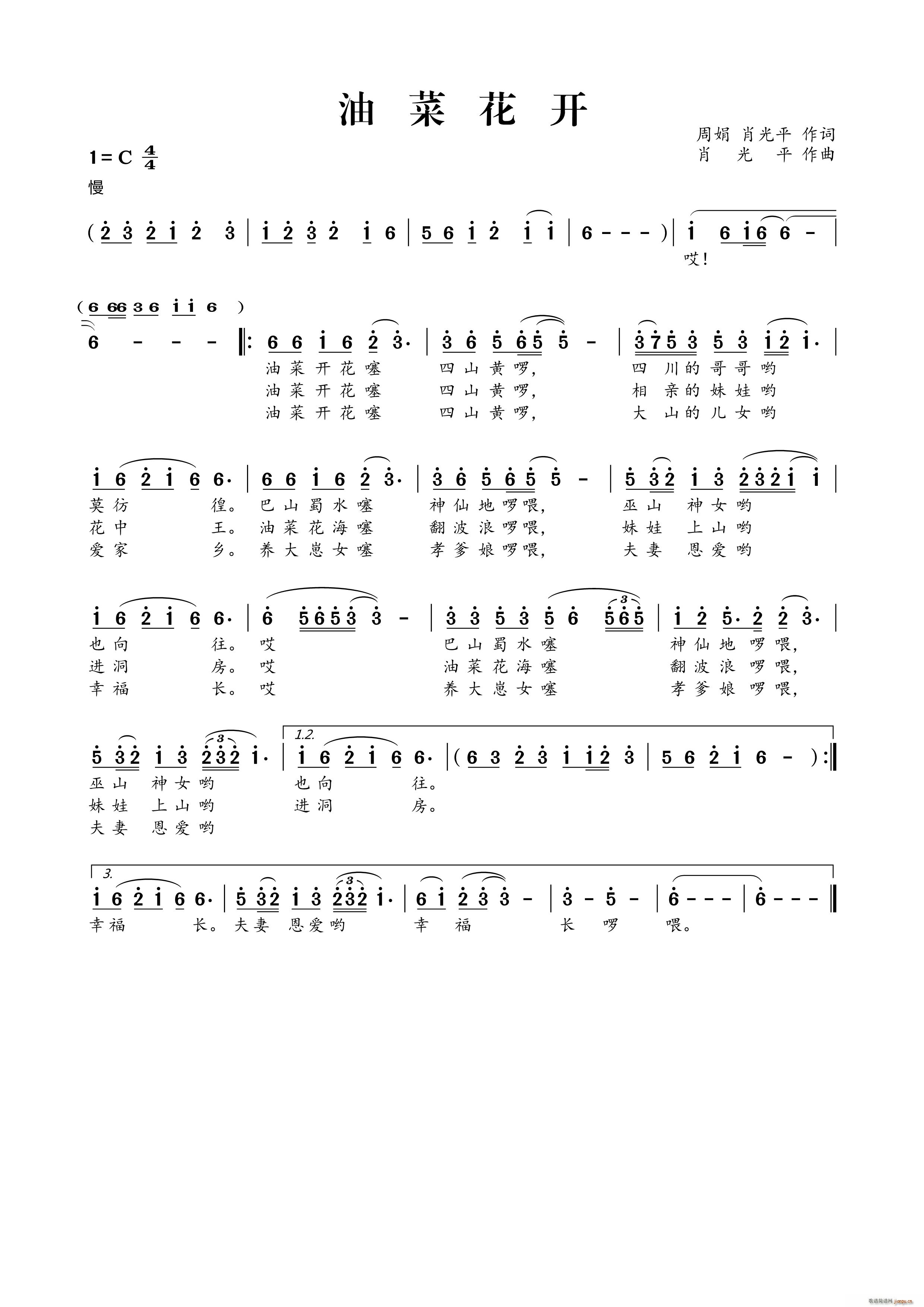 油菜花开 周娟(七字歌谱)1